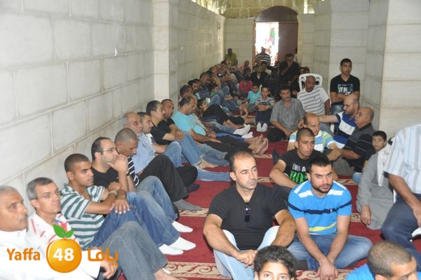 bazsalah lud 712 (2).JPG